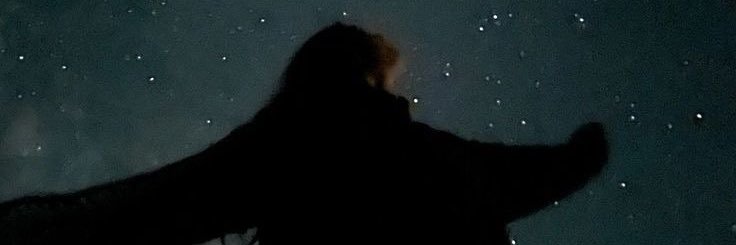 𓆉 banner