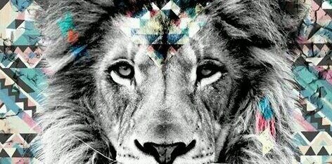 13Hannuka's profile banner image