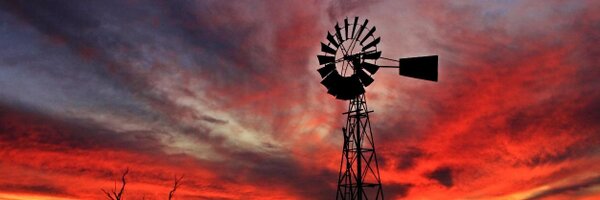 dmkennedySP Profile Banner