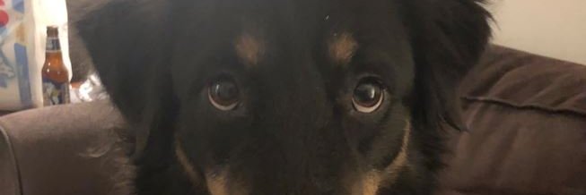 tcantrell2989's profile banner image