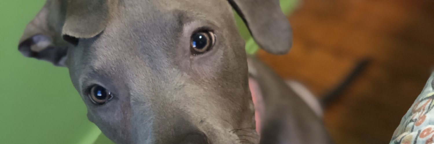 vnrc_'s profile banner image