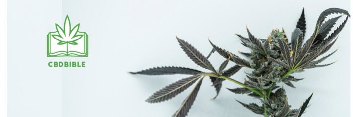 cbdbibleuk's profile banner image