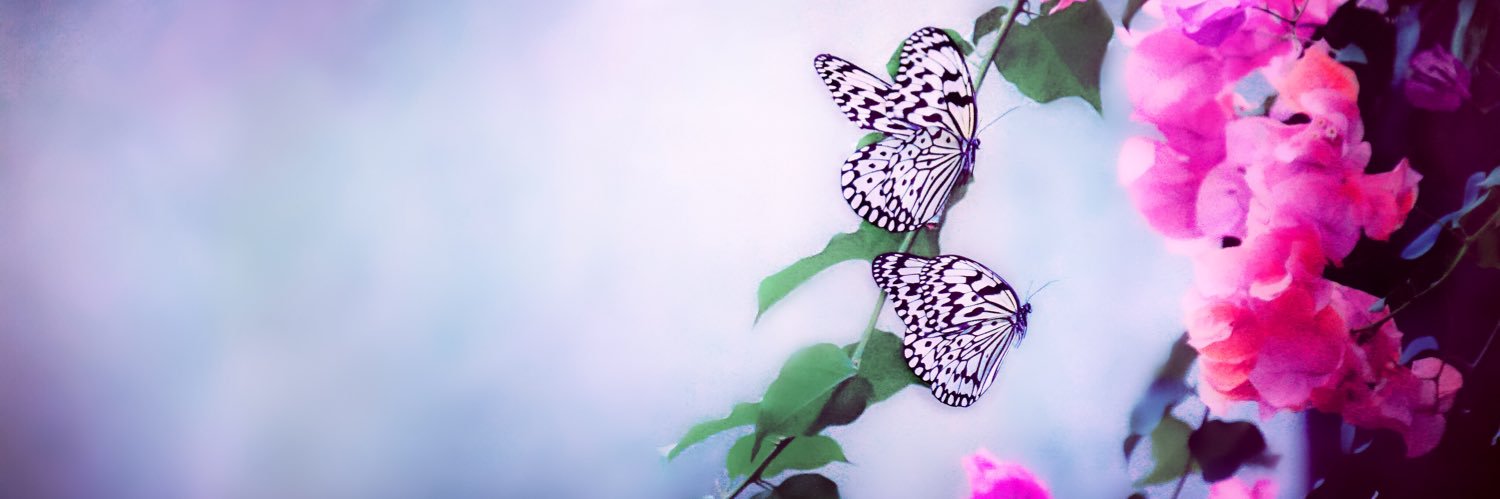 777 banner