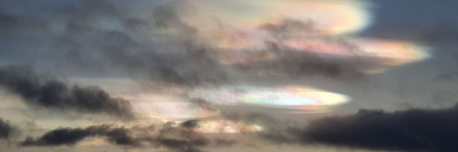 LEHagglund's profile banner image