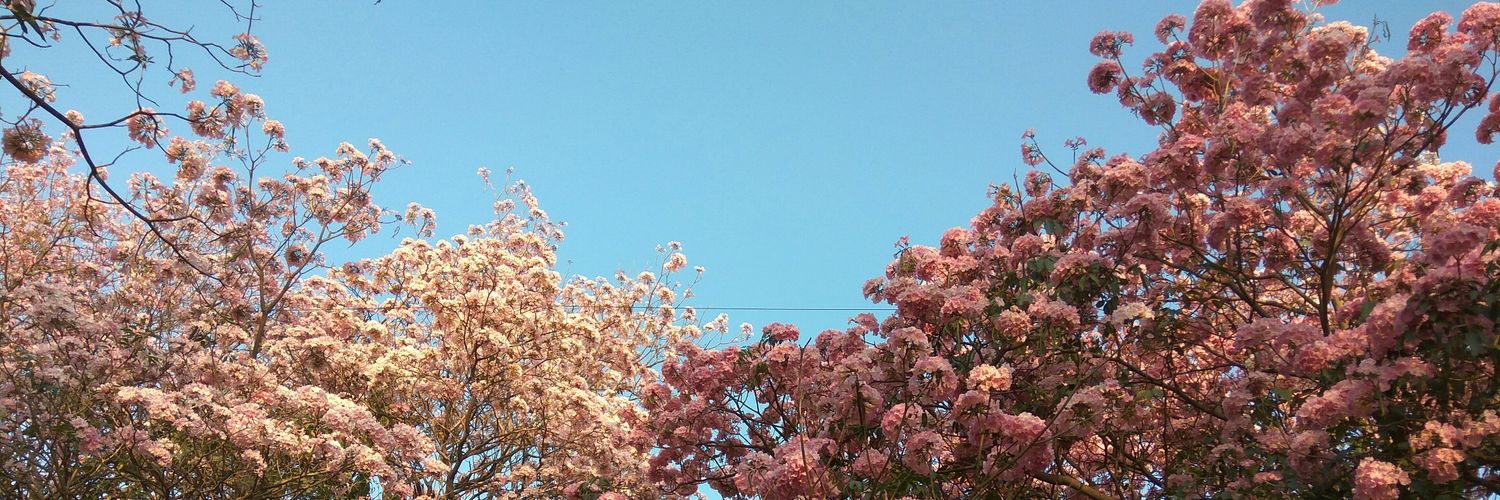Tumpsi's profile banner image