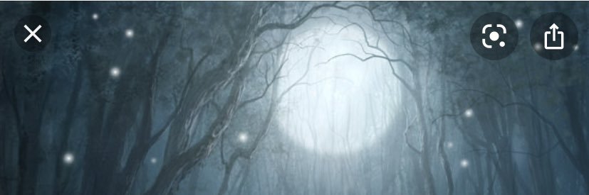 SchoolPeoples's profile banner image