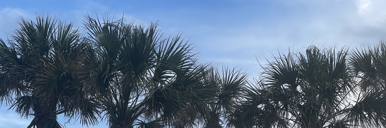 KaKaKywee's profile banner image