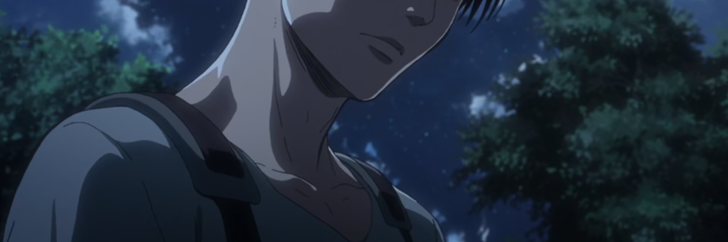 levi's... banner
