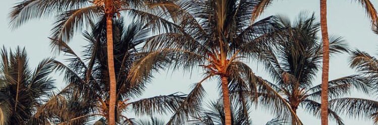 _Thurrie's profile banner image