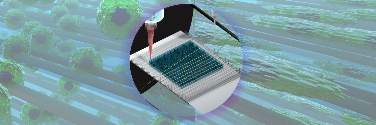 Ionov Lab banner