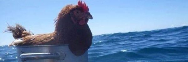 SEPlasma1 Profile Banner