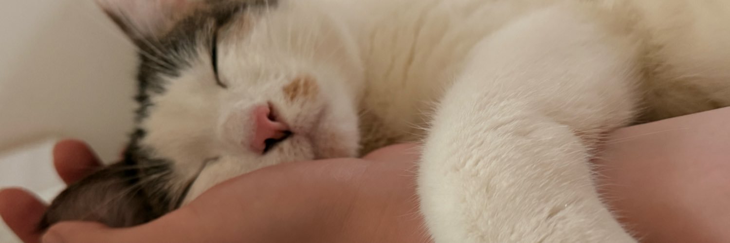 Emma 🐈‍⬛ banner