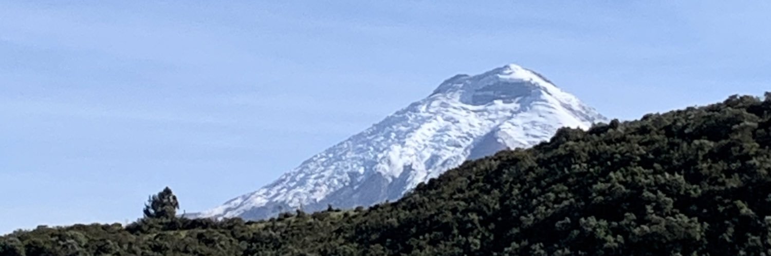 Pepeandoando's profile banner image