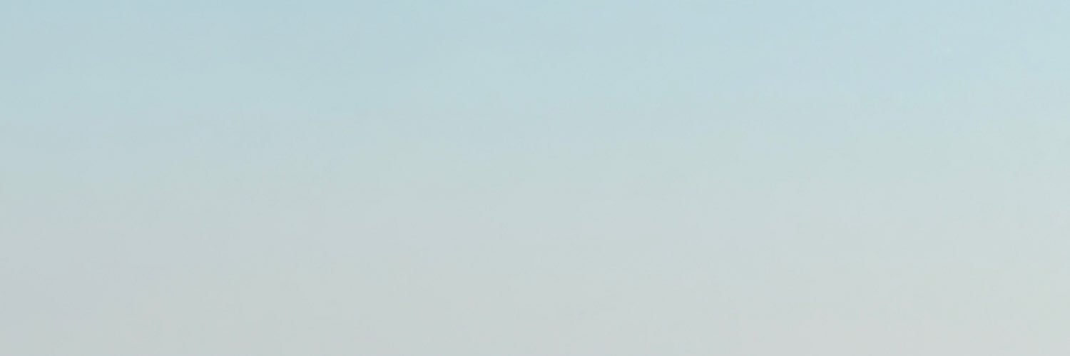 EverythingFoxx's profile banner image