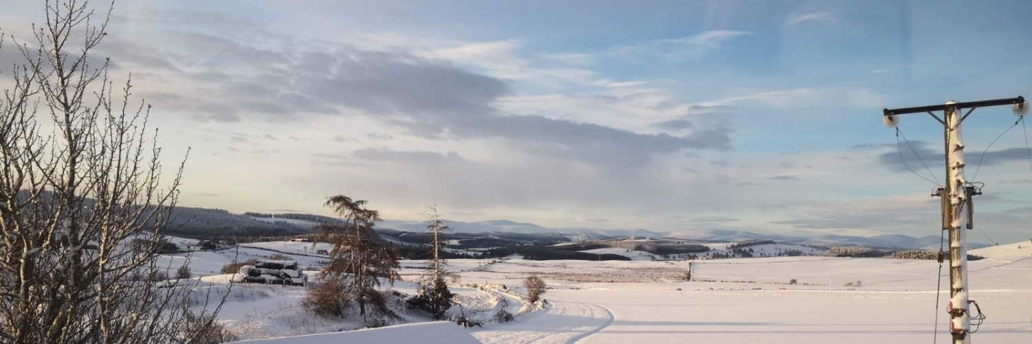 Paula Sweeney banner