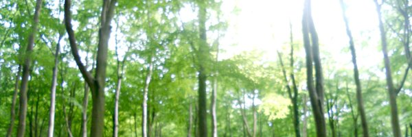 oi_tillymint Profile Banner