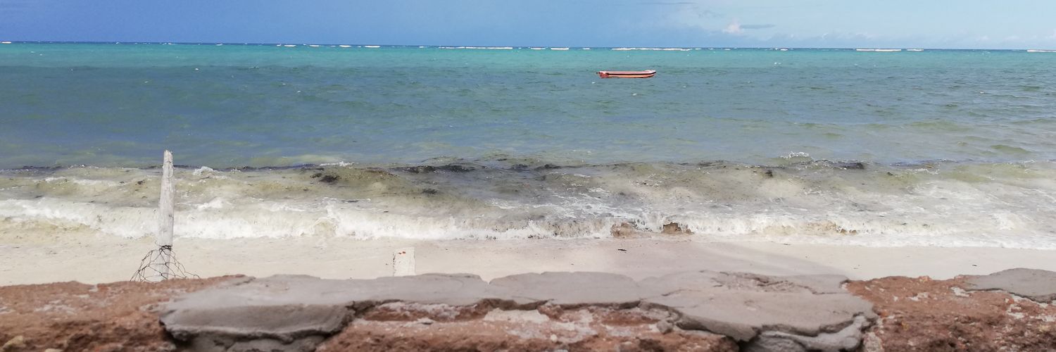 charomadagow's profile banner image