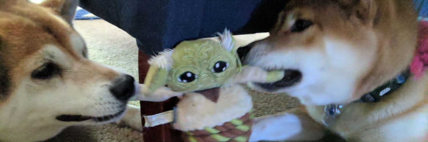 Badadoobwow's profile banner image