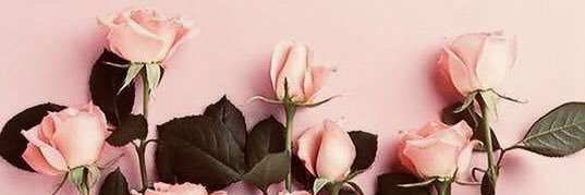 amosha1231's profile banner image