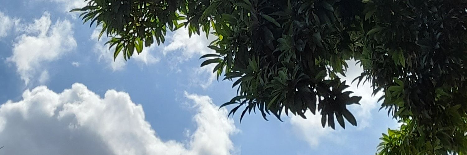 MeylinLucia's profile banner image
