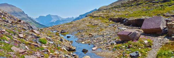 AFunabiki Profile Banner