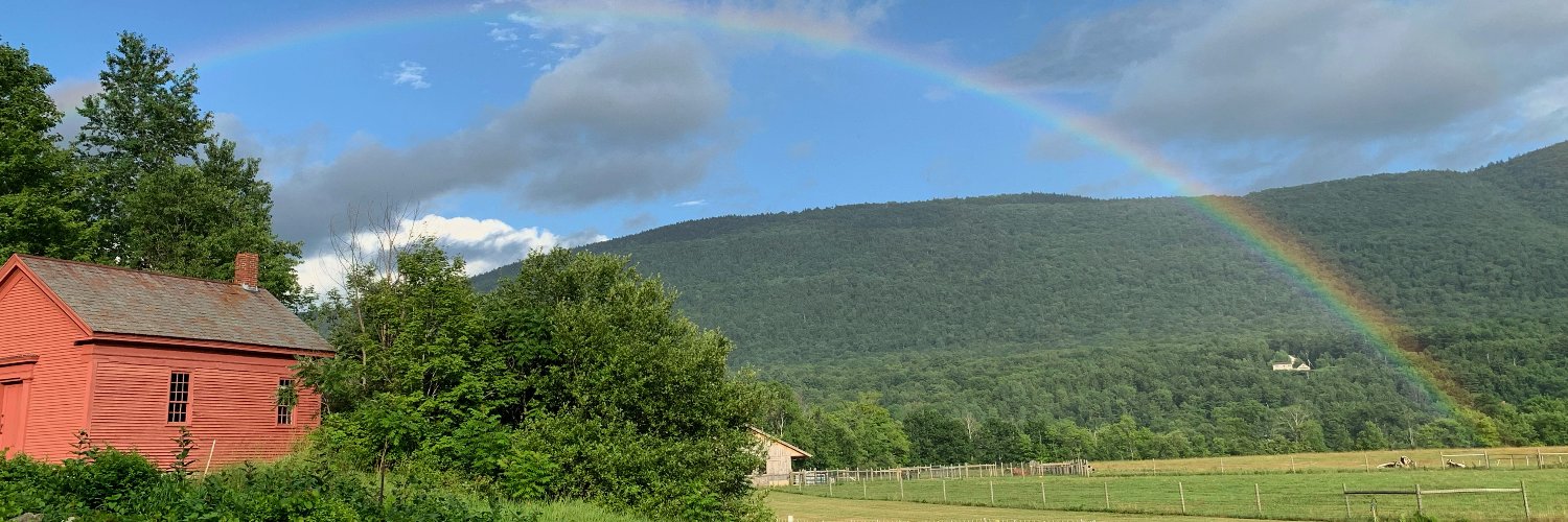 erinelyons's profile banner image