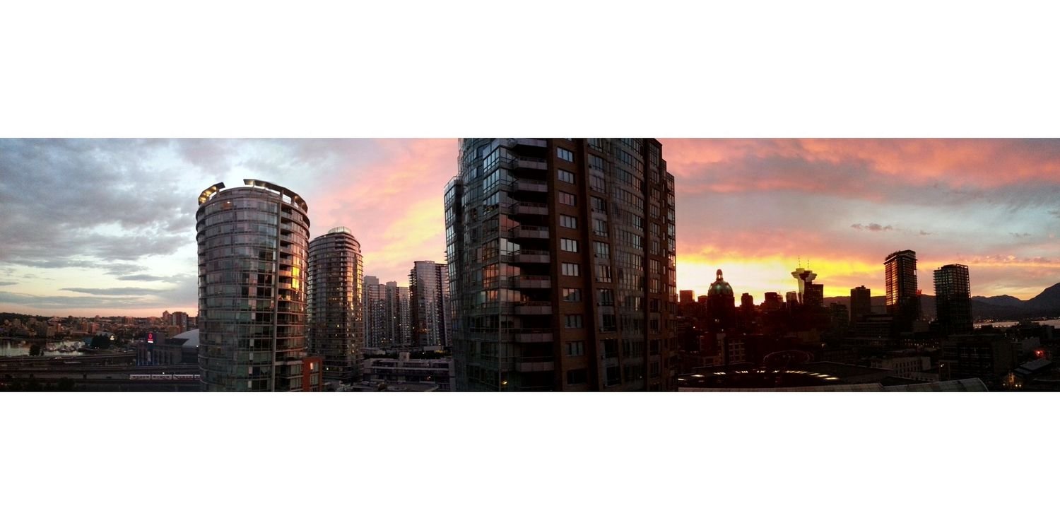 LadyxDarwin's profile banner image