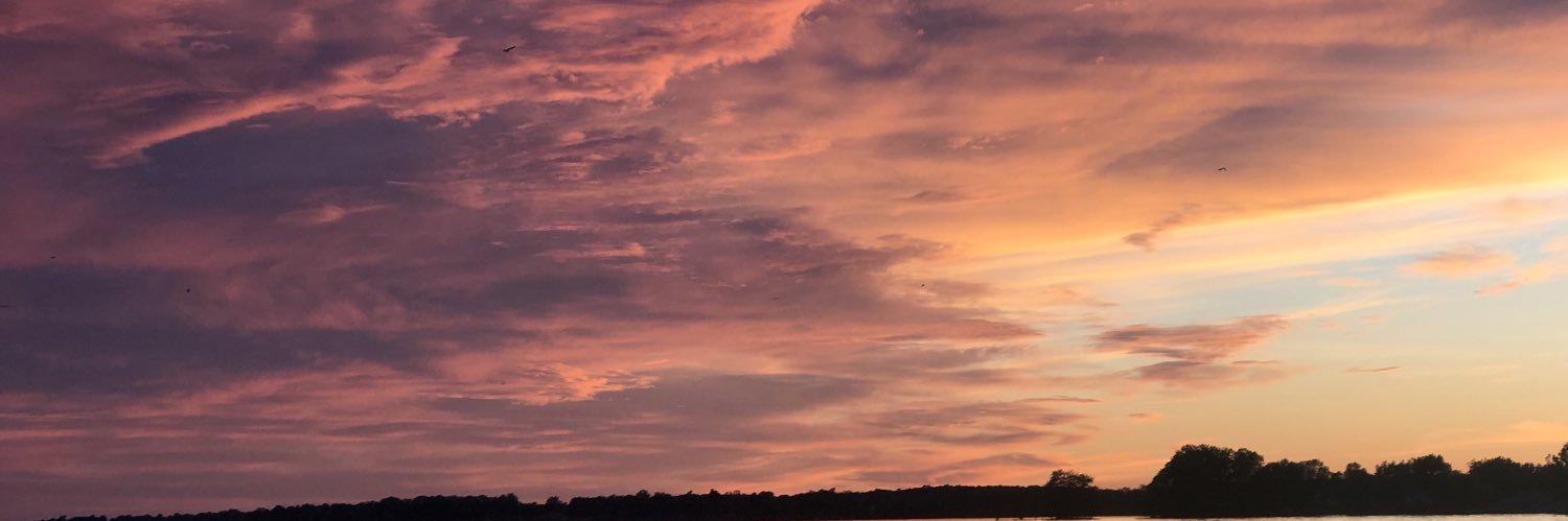 nataliereff1's profile banner image