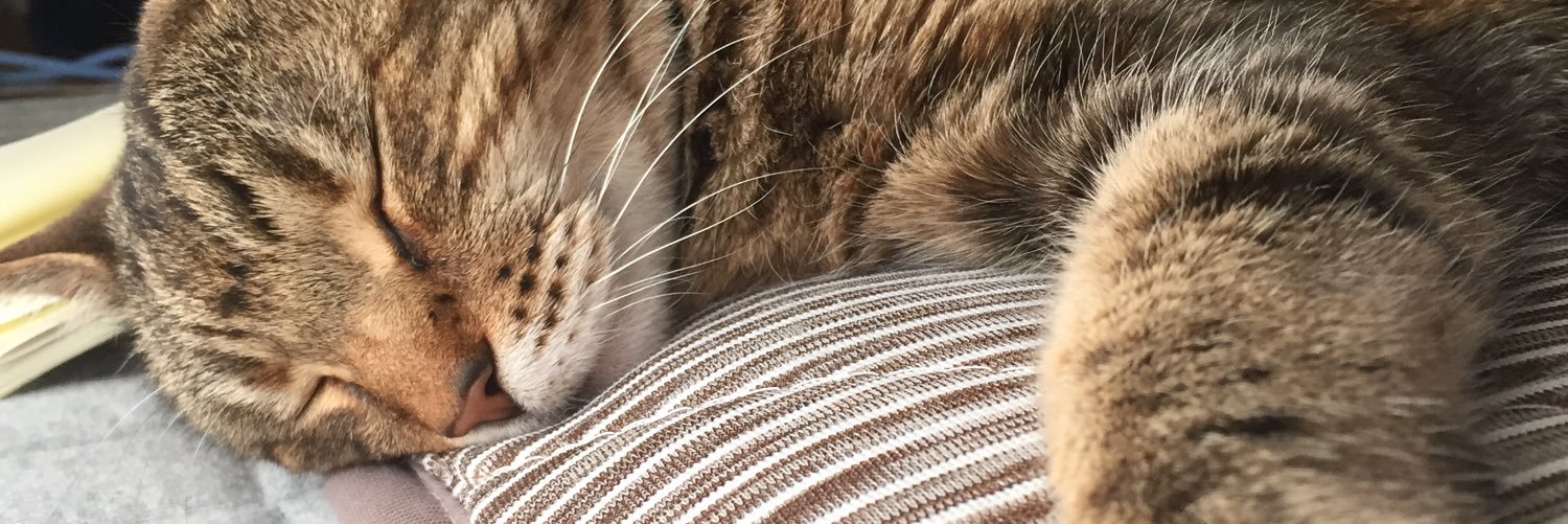 nyaaa_0312's profile banner image