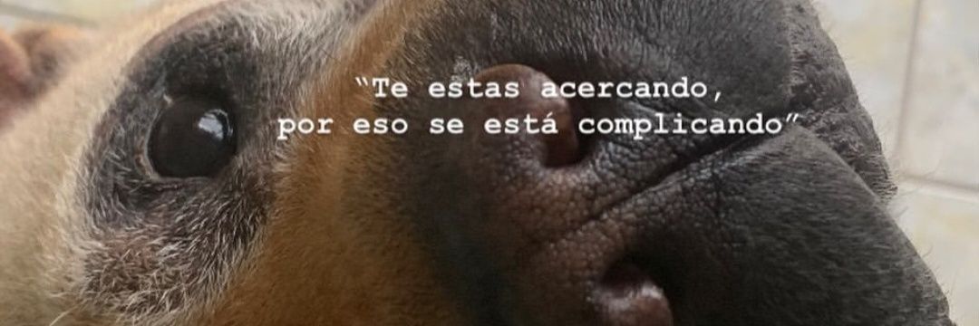losleoooommmmmm banner