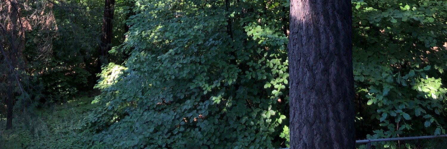 jdasteel's profile banner image