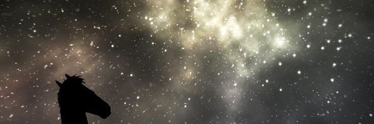 _foreveryong's profile banner image