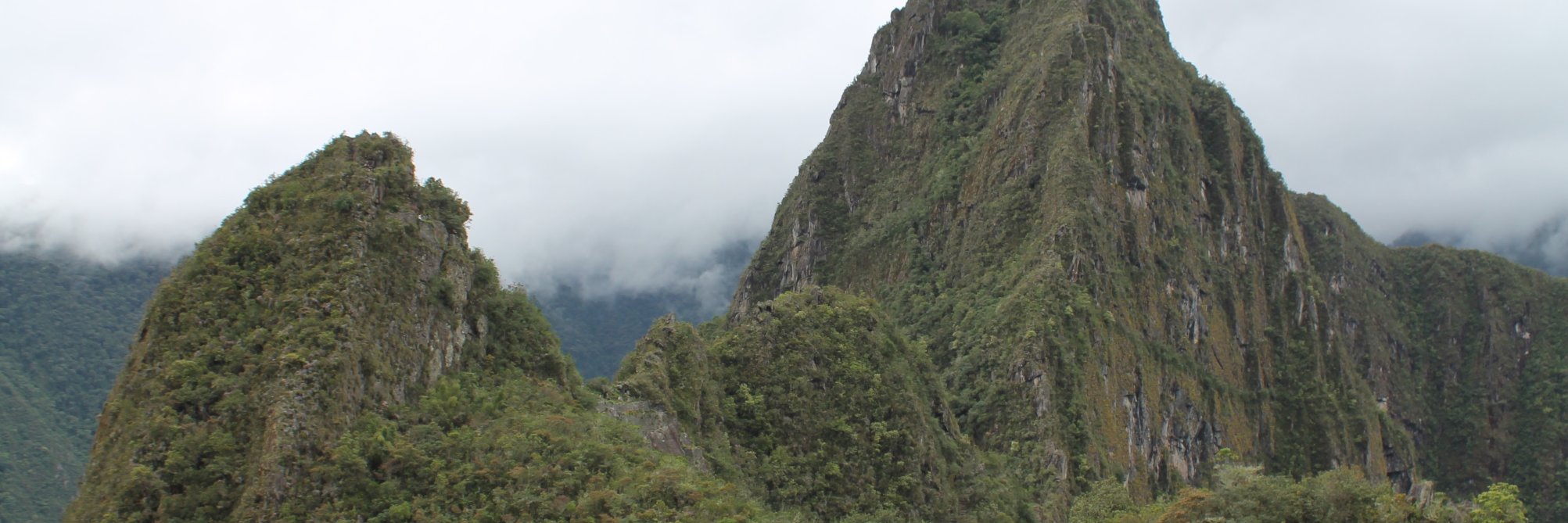 angelicabueno13's profile banner image