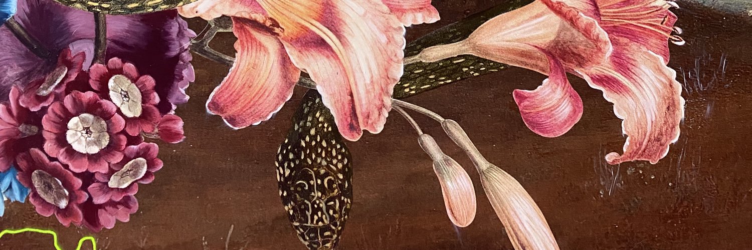 Alexandra Gallagher banner