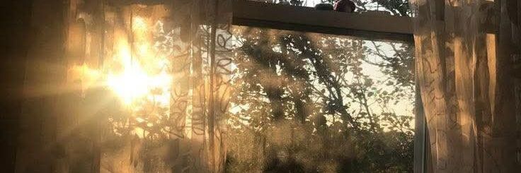 ℛ𝒶𝓃𝓇ℴ𝓃 banner