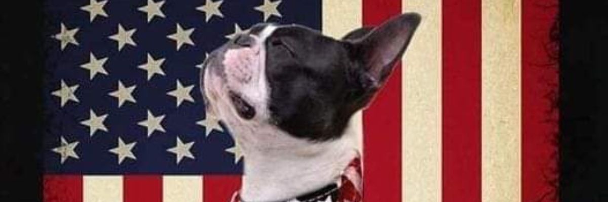 MazurykM's profile banner image