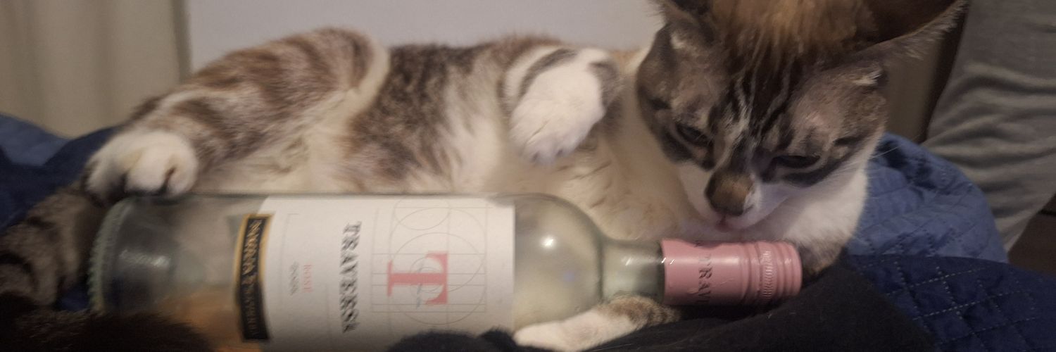 juipsy_'s profile banner image