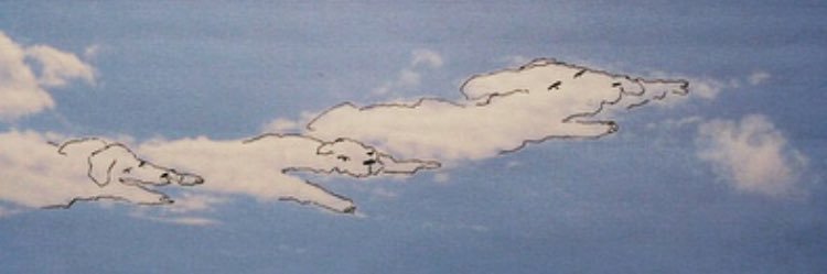 CooperHeminger's profile banner image