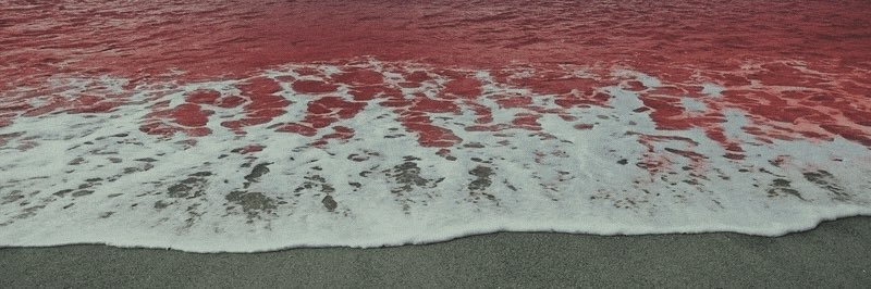 P banner