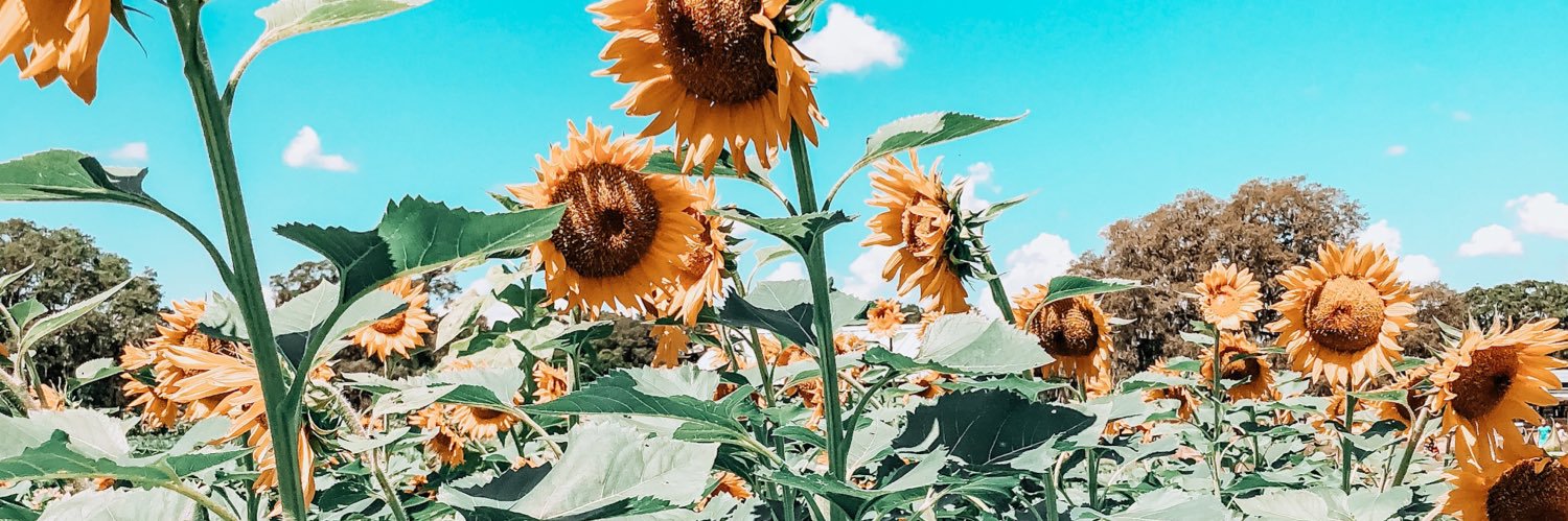 jordannlamarr's profile banner image