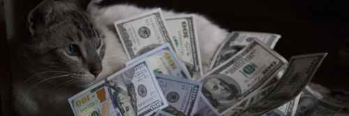 Bruzco1's profile banner image