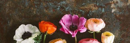 Anna_Marchy's profile banner image