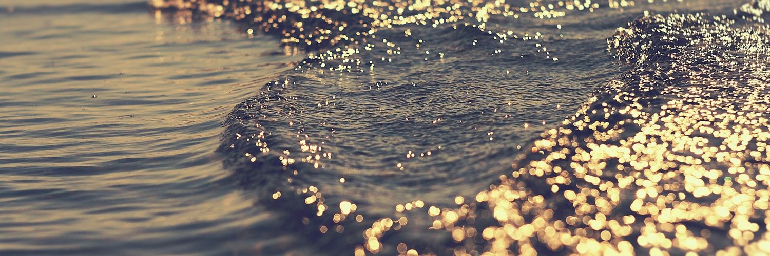 carolineberries's profile banner image