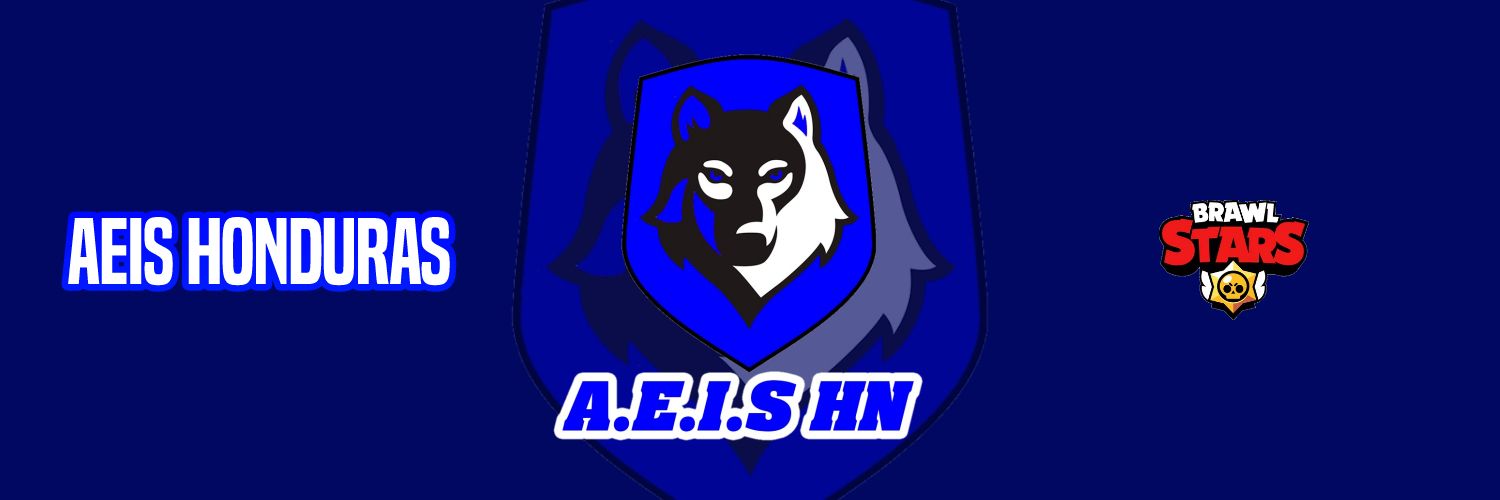 AEIS Honduras banner