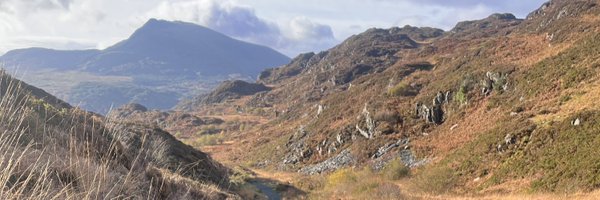 alisongow Profile Banner