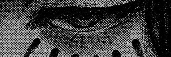 vanvimi16 Profile Banner