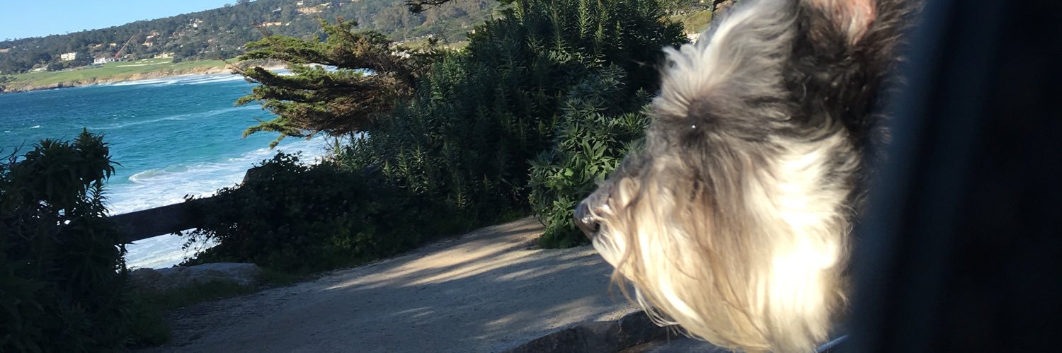 lotraylo's profile banner image