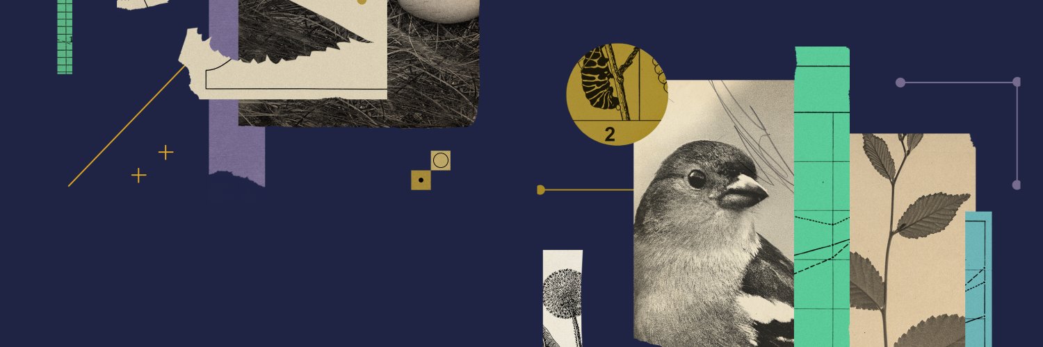 Goldfinch Profile Banner