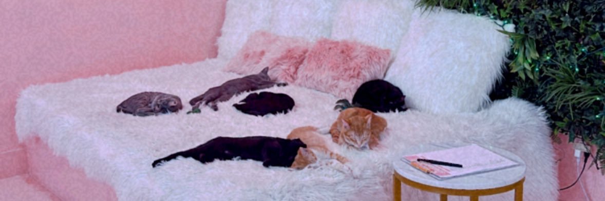 GraceRickenbach's profile banner image