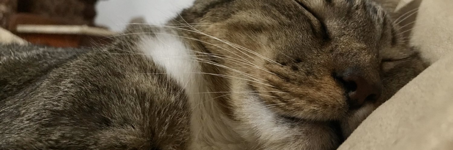 nikipoxyrran's profile banner image